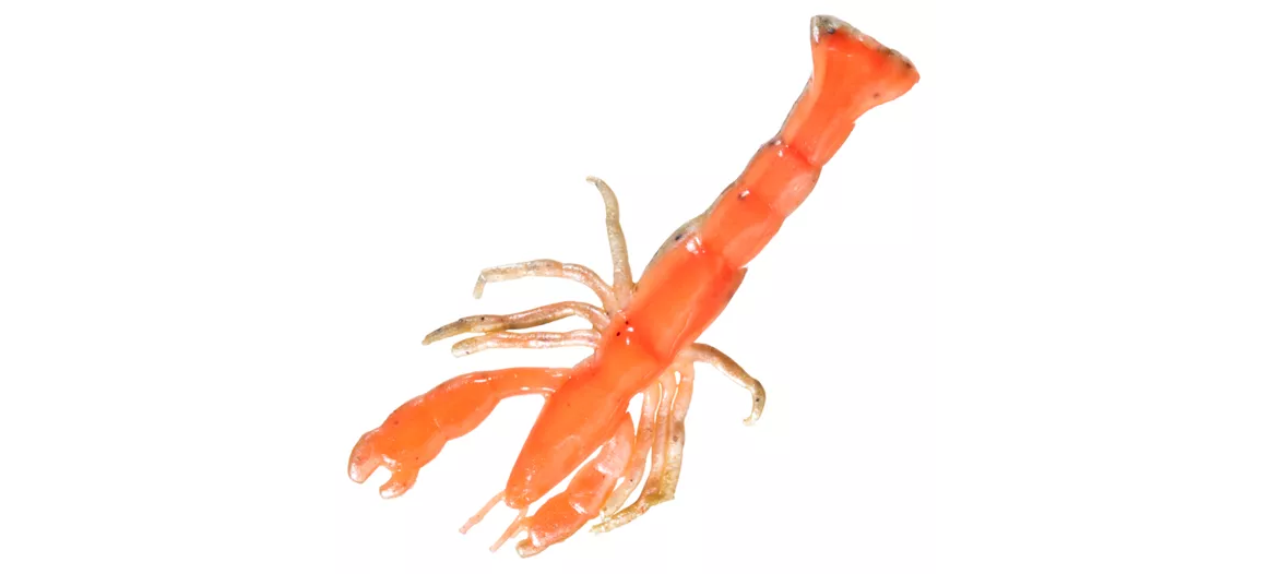 Berkley Gulp! Saltwater Ghost Shrimp