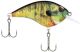 Berkley Frittside 5 Jr 