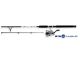 Daiwa D-Wave Saltwater Combo