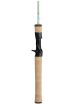 Daiwa Beam X Glass Casting