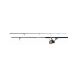 Daiwa D-Wave Fiberglass Spinning Combo
