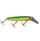 Joe Bucher Depth Raider 8