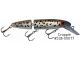 Joe Bucher Outdoors Depth Raider 8