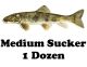 Medium Suckers 4 - 6