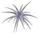 Berkley PowerBait MaxScent Moeba 4.5