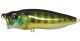 Megabass Pop Max