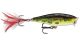 Rapala Skitter Pop #5