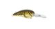 Spro RkCrawler 55 Crankbait
