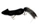 Wolverine Tackle Squirrel Walking Baits