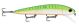 Storm Giant Flatstick