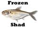 FROZEN SHAD FS