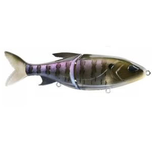 Best Hard Baits for Bass Fishing: Top 10 Picks - Fishingurus Angler's  International Resources