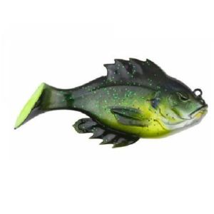 Top 10 Soft Baits for Bass Fishing - Fishingurus Angler's International  Resources