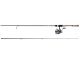 Daiwa Legalis LT Spinning Combos