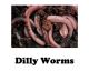 Dilly Worms Baby Nightcrawlers 18 Pc DW
