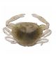 Berkley Gulp! Saltwater Peeler Crab 