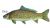 Pin Pals Freshwater Series Pin by Virgil Beck Carp PP700