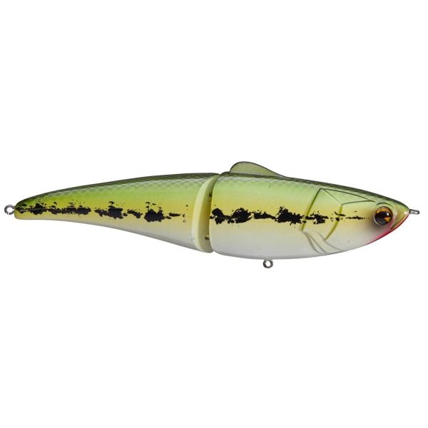 Ima Glide Fluke 125 (Select Color) IGF125S - Fishingurus Angler's  International Resources