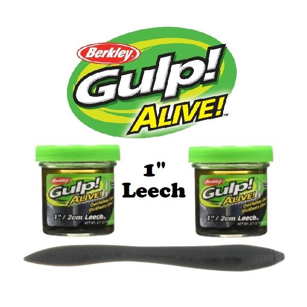 Berkley Gulp Alive 1 Leech GAJLC1