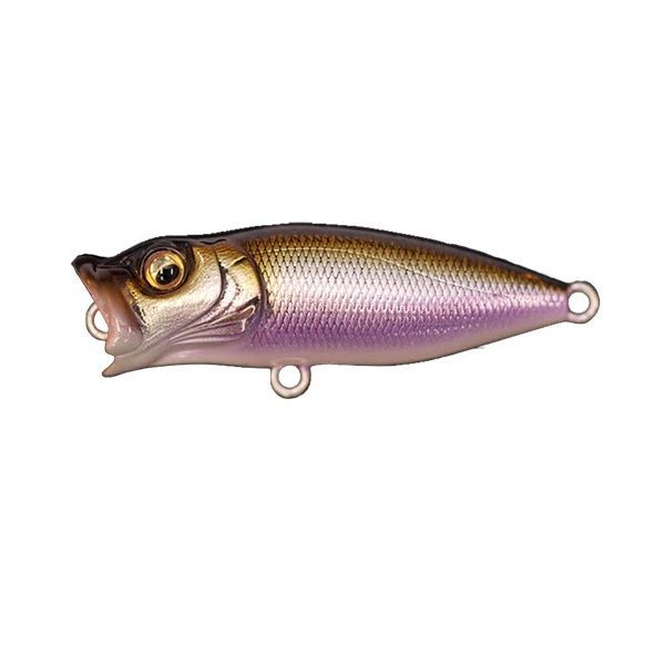 Megabass Baby PopX BFS (Select Color) 05023524 - Fishingurus Angler's  International Resources