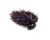 Gentleman's Club Jigs 3/4 oz