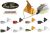 Evergreen USA Loudbuzz Buzzbait LB-38 (Choose Color)