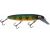 Joe Bucher Outdoors Depth Raider 6