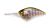 Megabass iPX-12