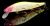 Megabass Respect Series 89 IF Hachiro