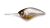 Megabass iPX-16