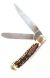 Bone Handle Dual Blade Slip Joint Pocket Knife 4