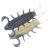 Geecrack Bugpee 3.5