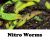 Green Nitro Nightcrawlers 1 Dozen NTW