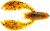 NetBait BaitFuel Paca Chunk Sr. 3.25