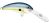 Rapala Shad Dancer #5