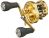 Shimano Calcutta Conquest 300 MD Right Hand