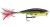 Rapala Skitter Pop #5