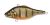 Megabass Vibration-X Smatra Rattle