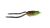 Spro Bronzeye Frog 65