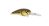 Spro RkCrawler 55 Crankbait