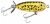 Heddon Teeny Torpedo 1/8oz