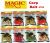 Magic Products Carp Bait 6oz (Select Flavor) 3700