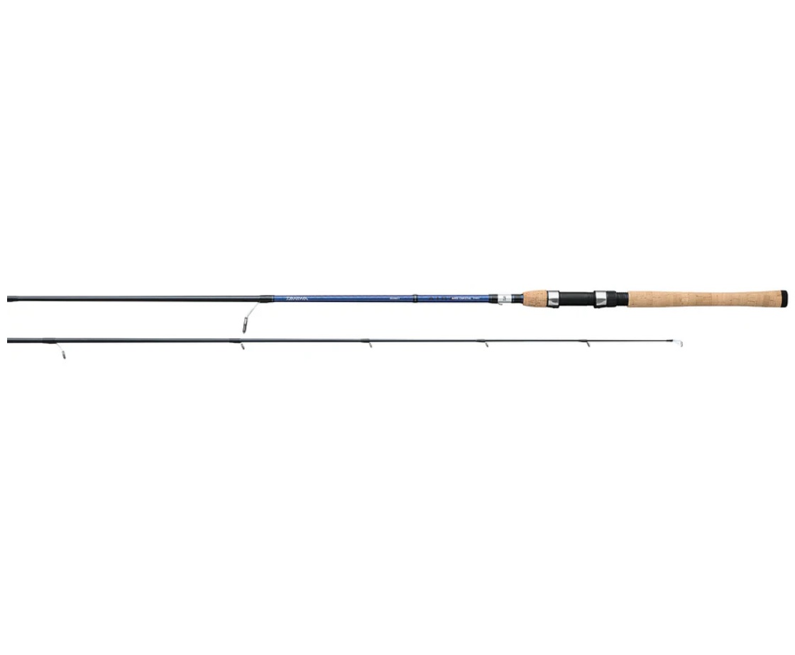 Daiwa Aird Coastal inshore Spinning