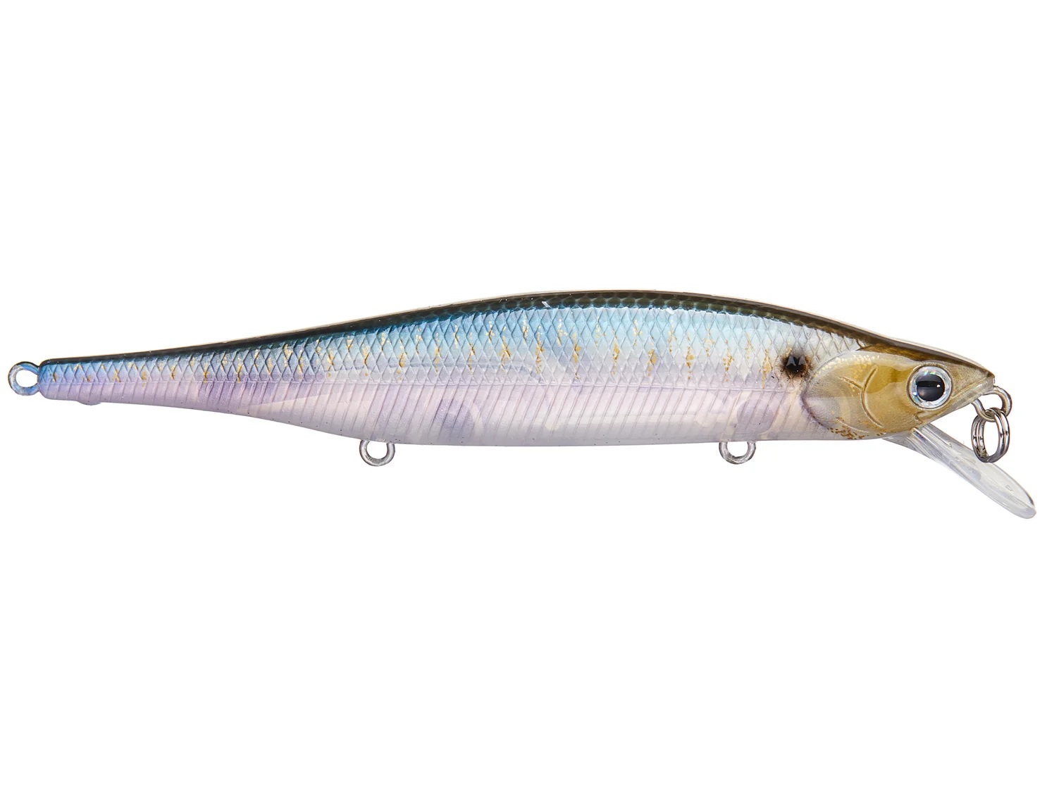 Live Ghost Minnow