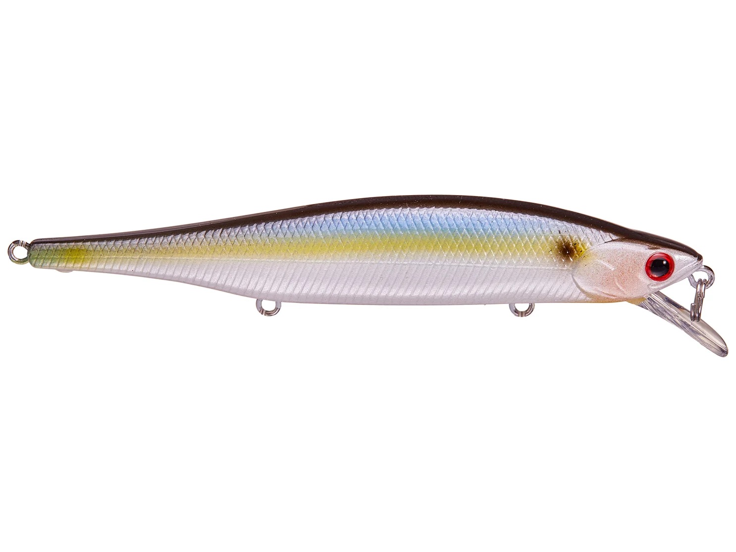 Pearl Threadfin Shad