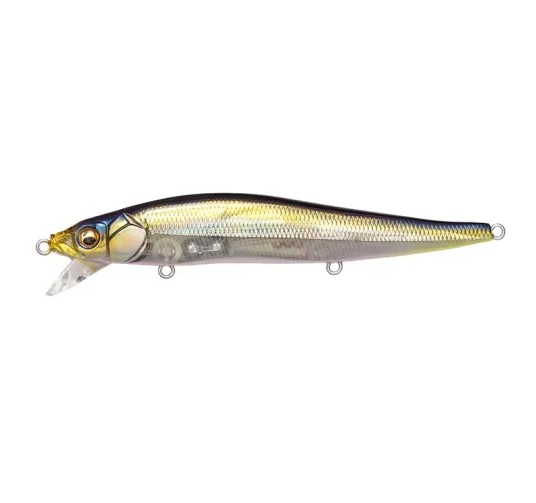 HT ITO Tennessee Shad