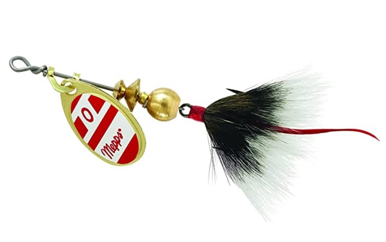 Gold/Red White-Gold
