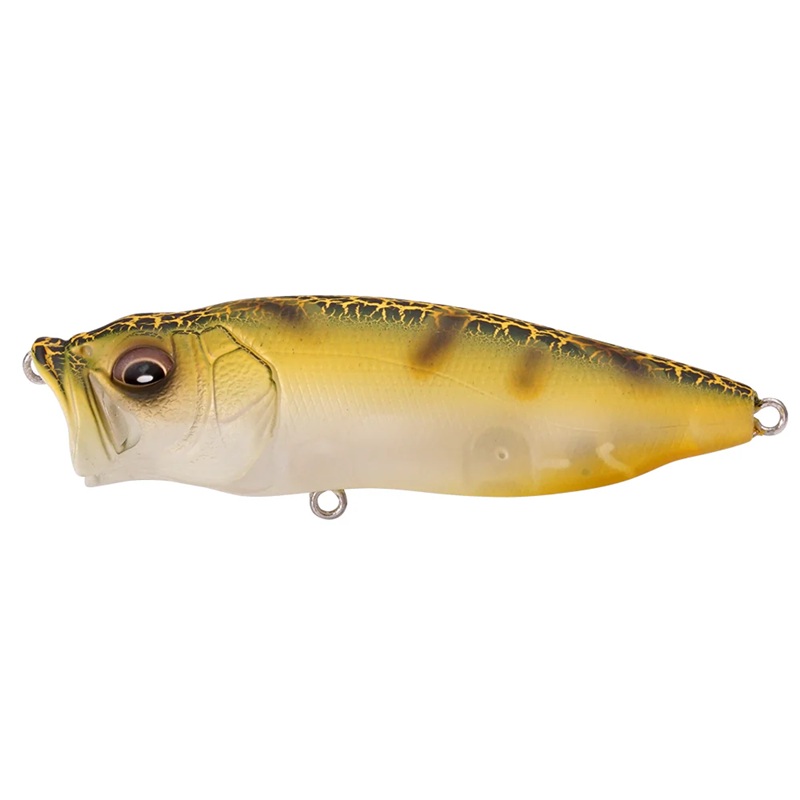 Megabass Pop Max (SP-C) RespectSeries 