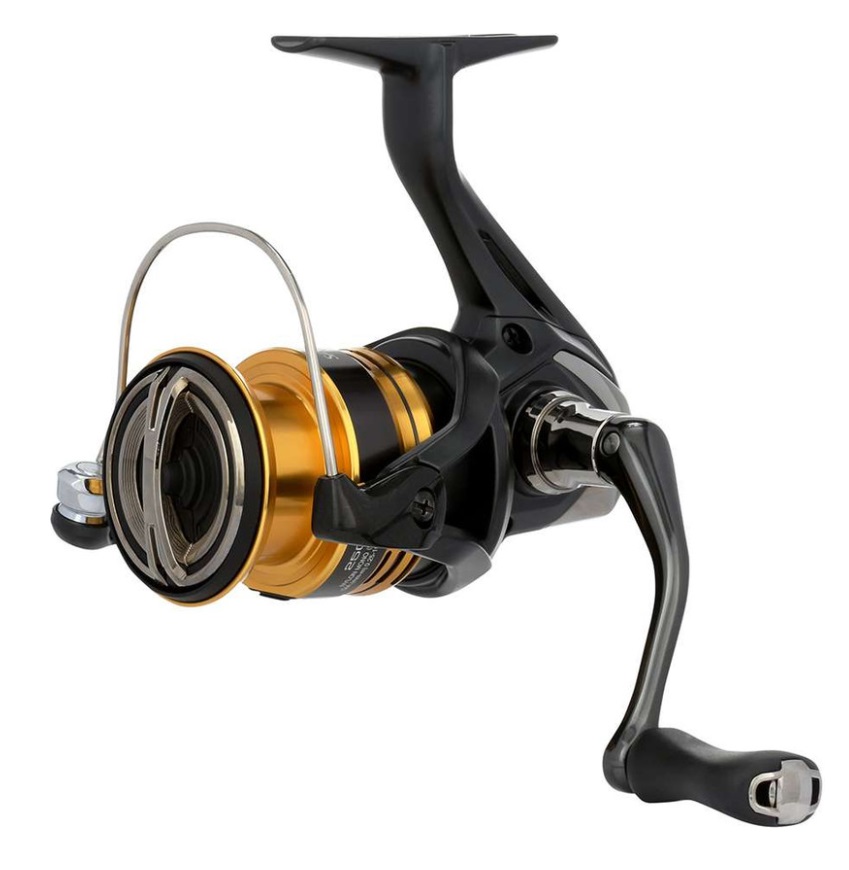 Shimano Sahara FJ